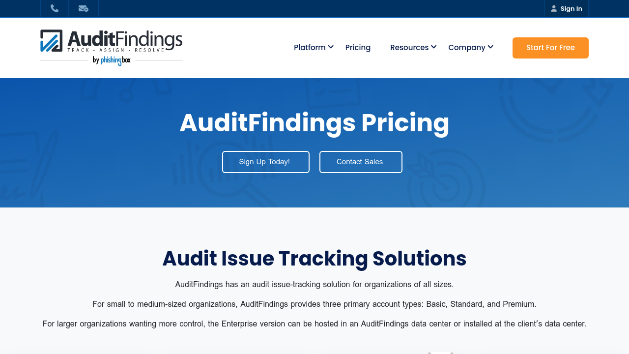 AuditFindings com